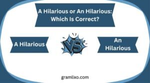 a hilarious or an hilarious