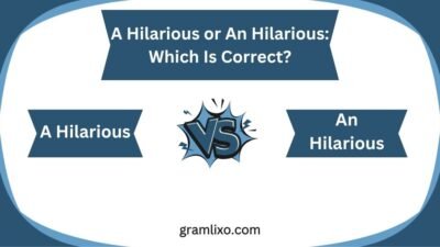 a hilarious or an hilarious