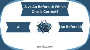 a vs an before u