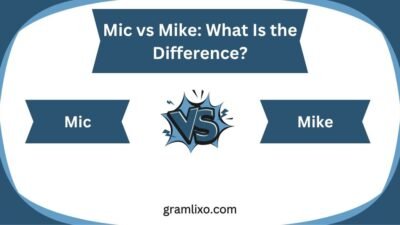 mic vs mike