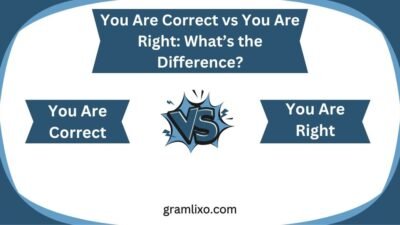 you are correct vs you are right